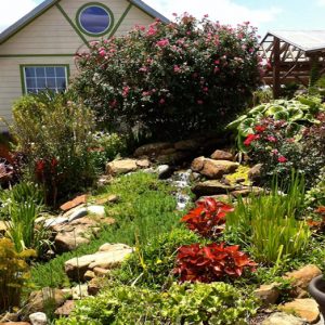 Welcome To Shades Of Texas Shades Of Texas Nursery Landscaping