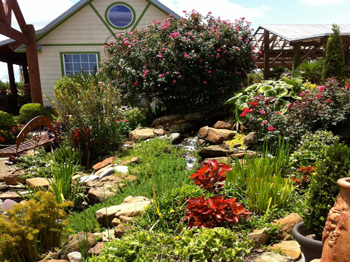 Welcome To Shades Of Texas Shades Of Texas Nursery Landscaping