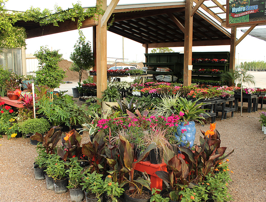 Home Page Shades Of Texas Nursery Landscaping The Woodlands
