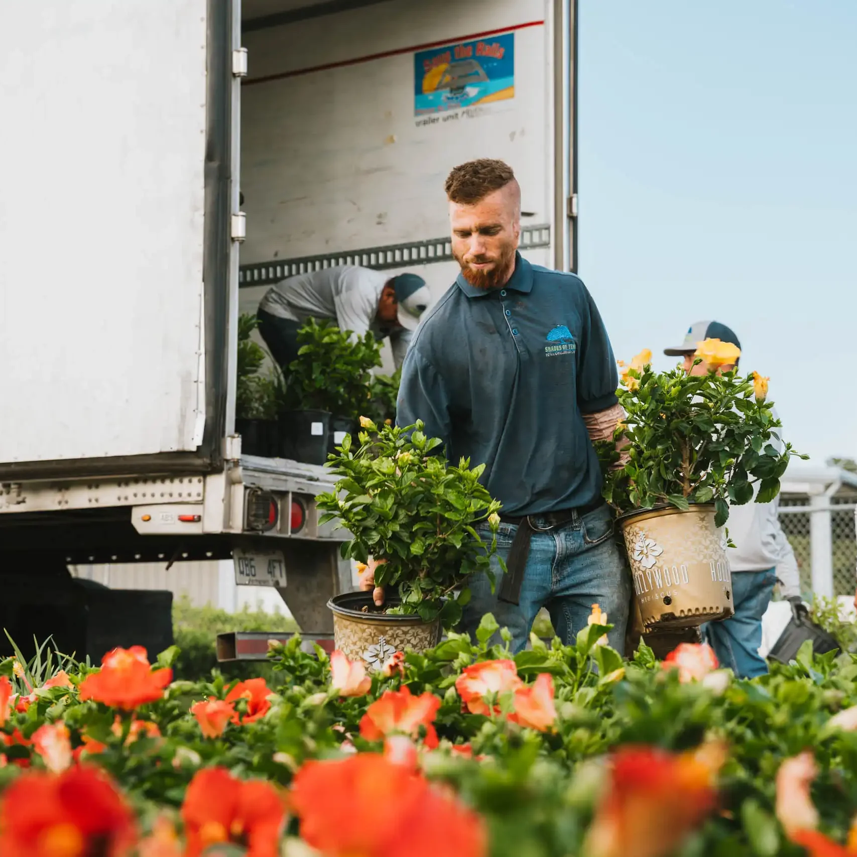 Wholesale Nursery Houston, TX