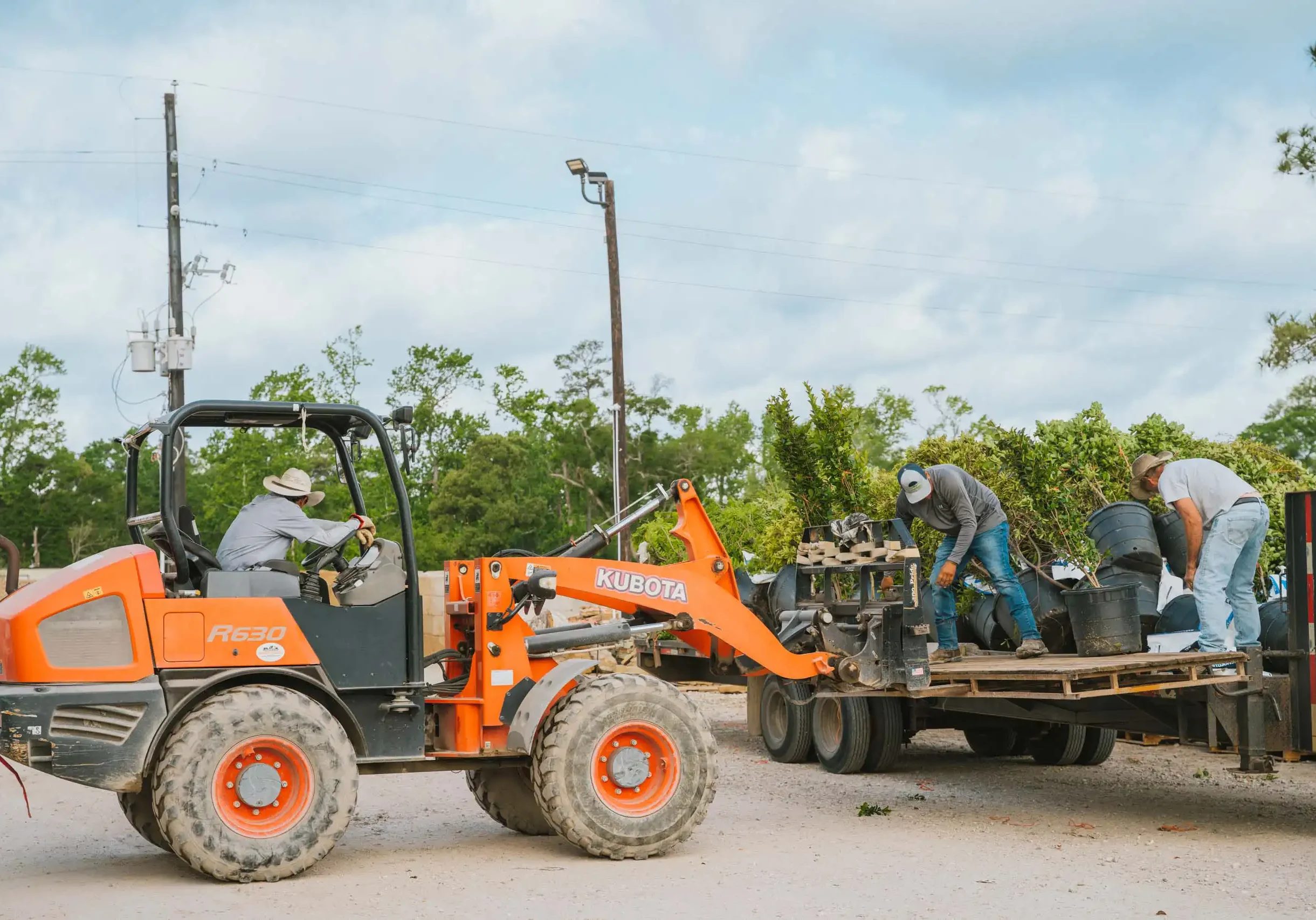 Wholesale Nursery Houston, TX