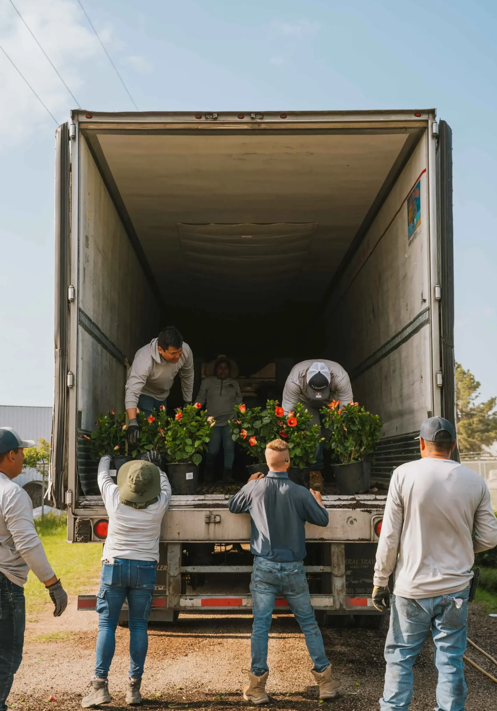 Shades Of Texas How It Works2