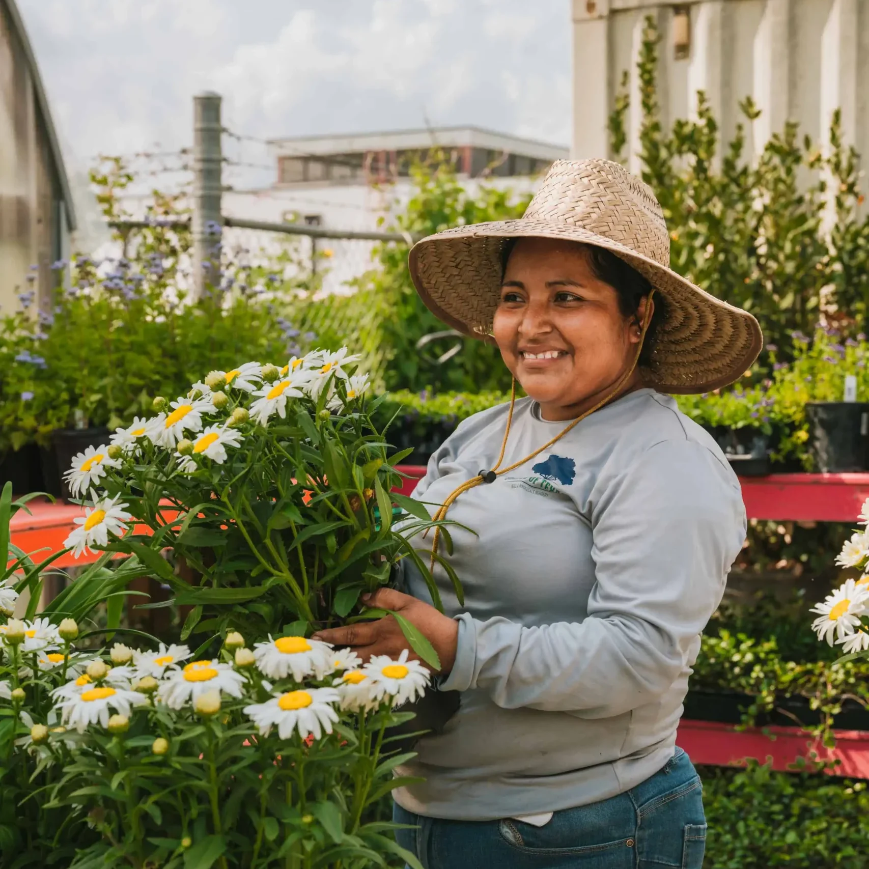 Shades Of Texas How It Works3