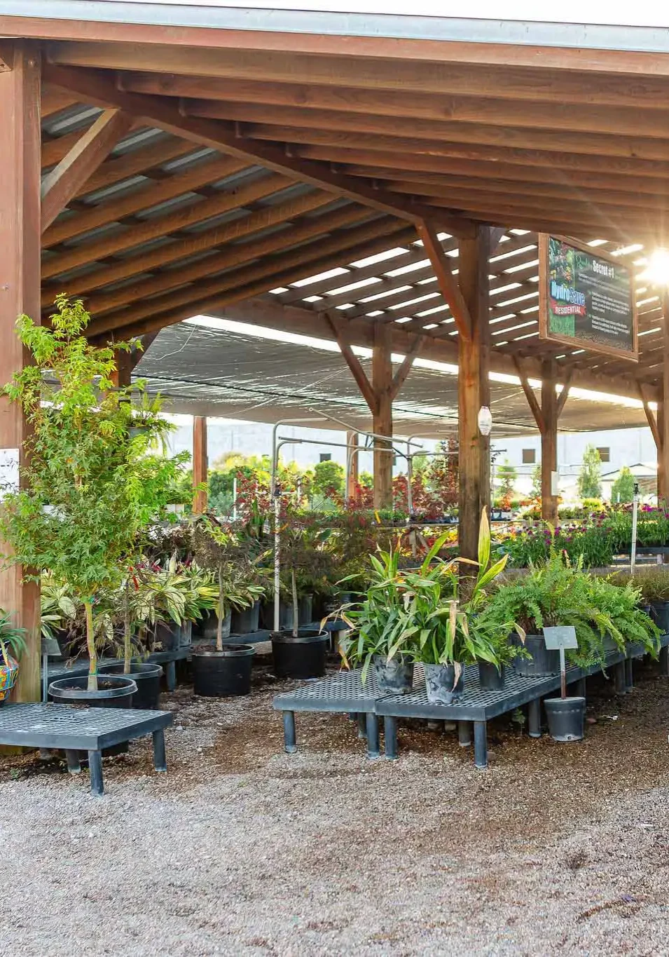 Wholesale Nurseries in Houston, TX