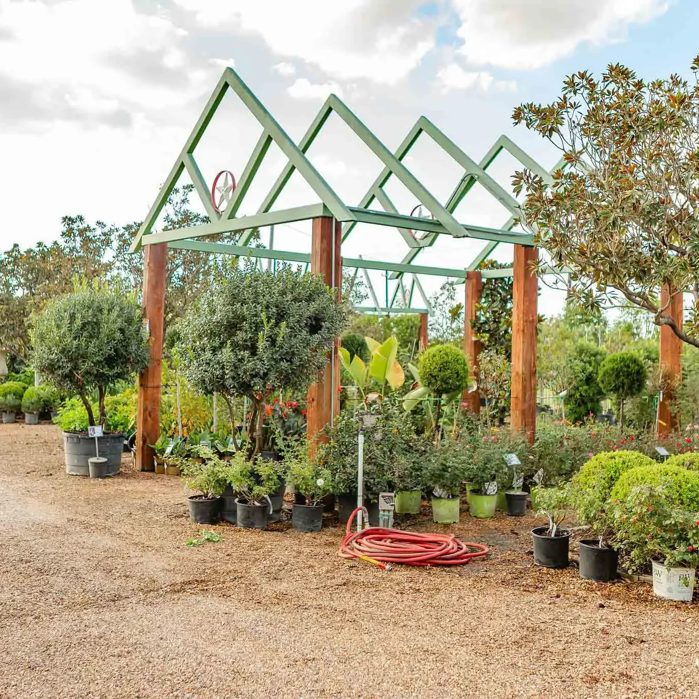 Wholesale Nurseries in Houston, TX
