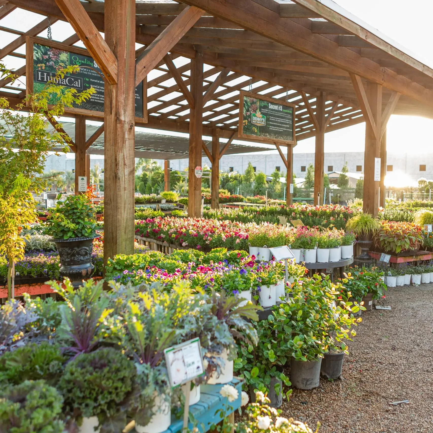 Wholesale Nurseries Conroe Tx